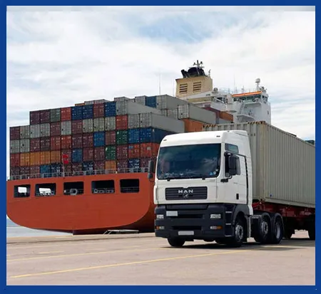 Consulting and carrying out all customs matters